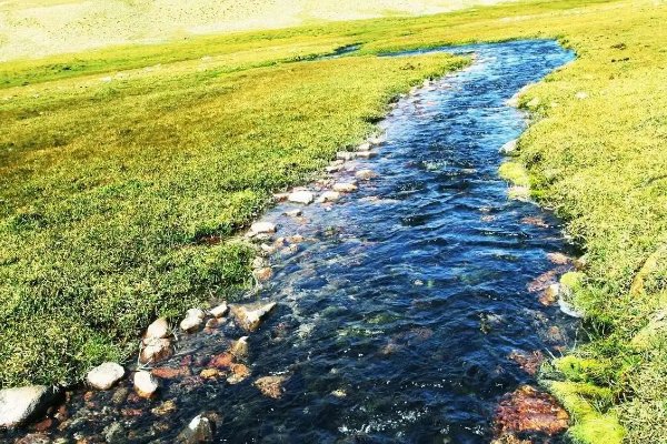 弯弯的小河像什么呢？