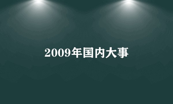 2009年国内大事