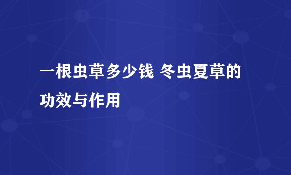 一根虫草多少钱 冬虫夏草的功效与作用