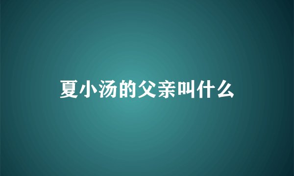 夏小汤的父亲叫什么