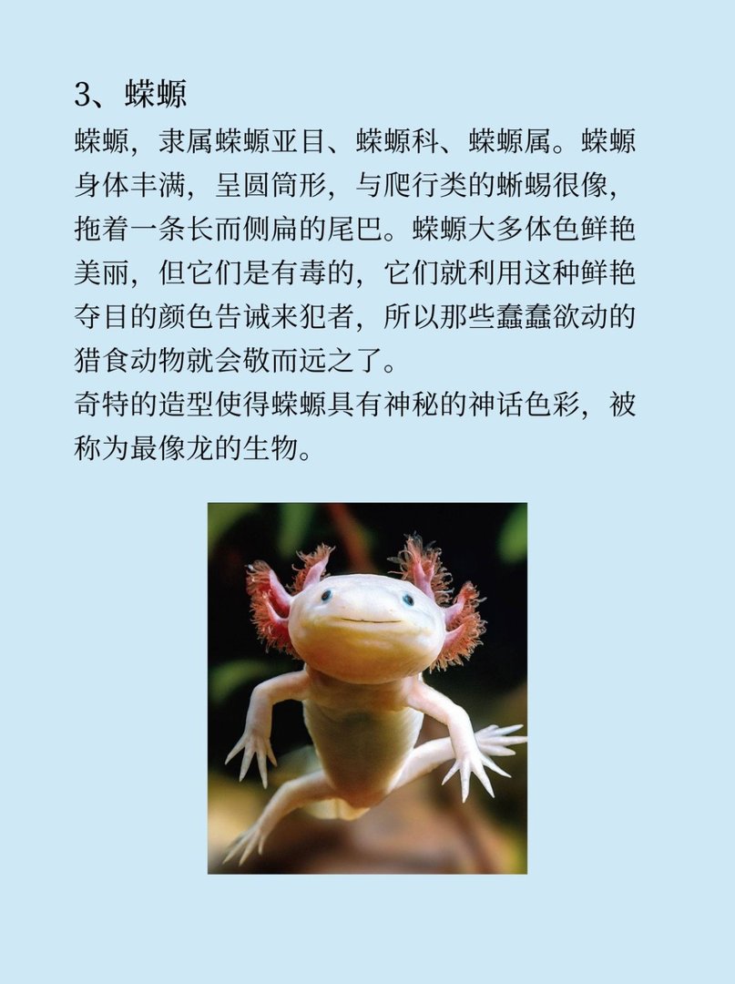 有什么稀奇古怪的东西