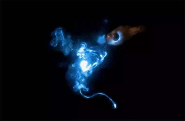 喷火鱼是怎么喷火的？