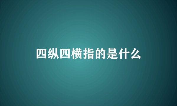 四纵四横指的是什么