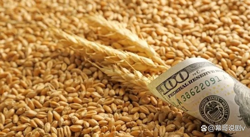 各国都在囤粮，是否会加剧粮价的暴涨？