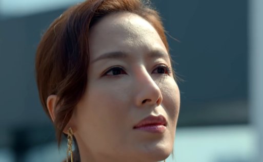 电视剧《家族荣耀》剧情大结局介绍是什么？