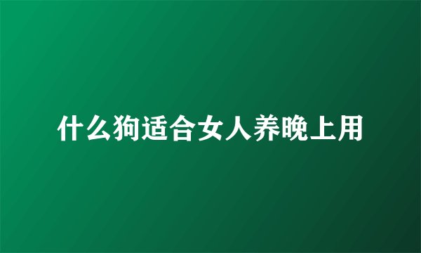 什么狗适合女人养晚上用