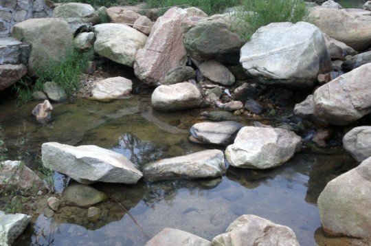 你还知道大自然有哪些文字