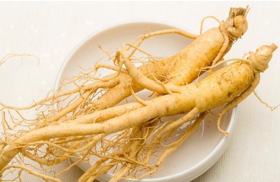 人参的主要产地在什么地方？