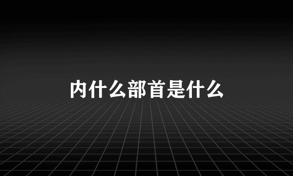 内什么部首是什么