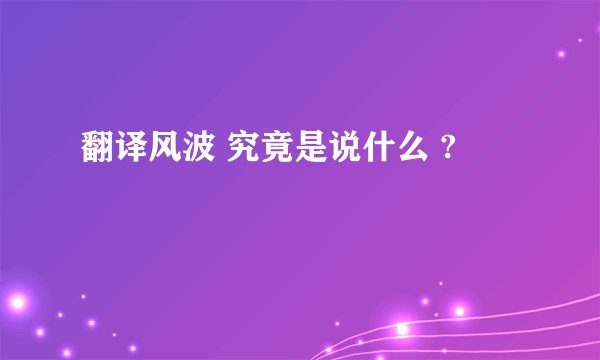 翻译风波 究竟是说什么 ?