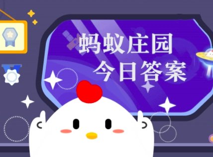 蚂蚁庄园12月31日内容？