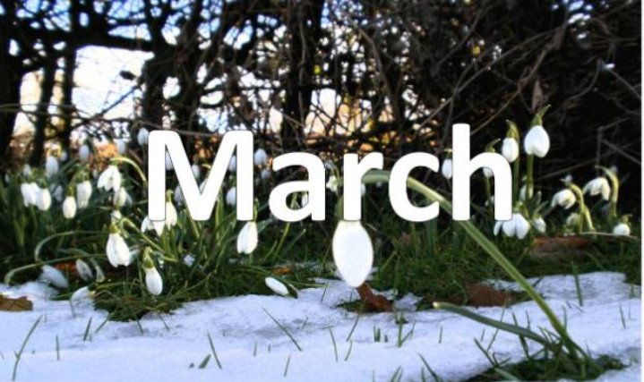 三月用英语怎么简写