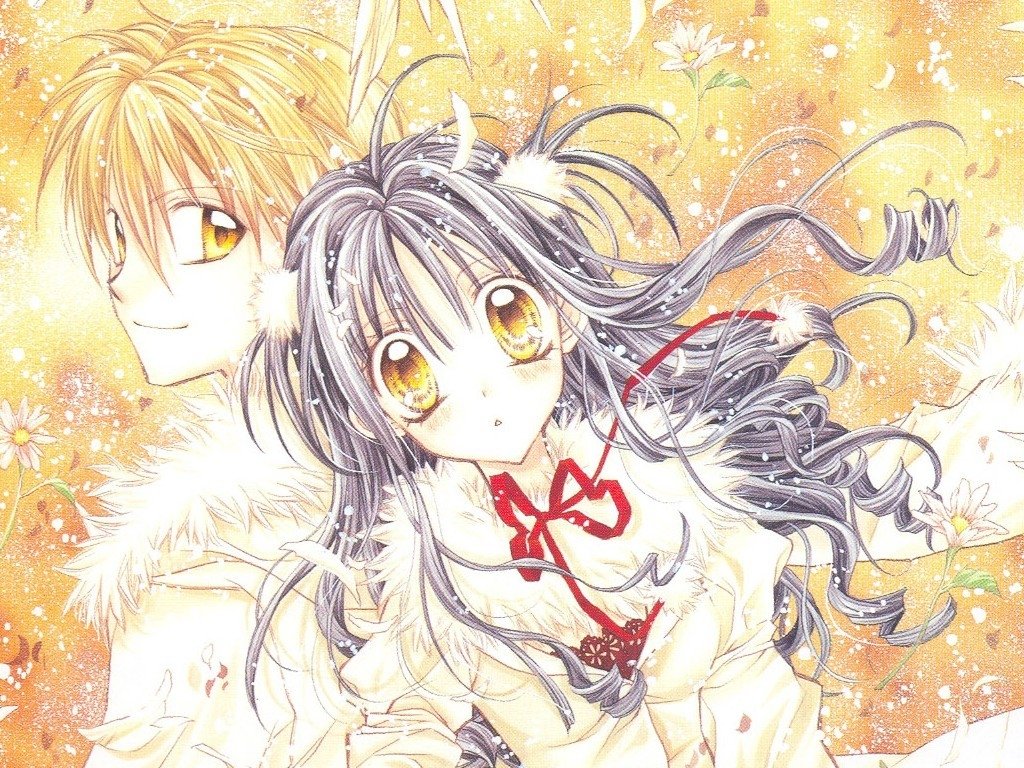 《寻找满月》讲述了痛苦的故事，和人生中的痛苦相比怎么样？