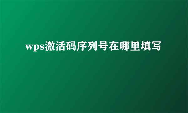 wps激活码序列号在哪里填写