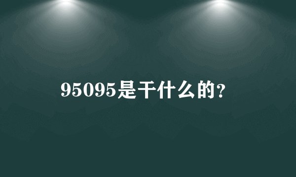 95095是干什么的？