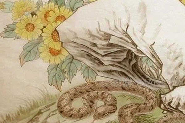 袭人故技打一正确定