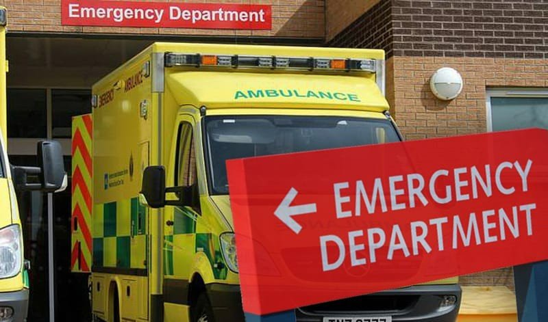 department什么意思