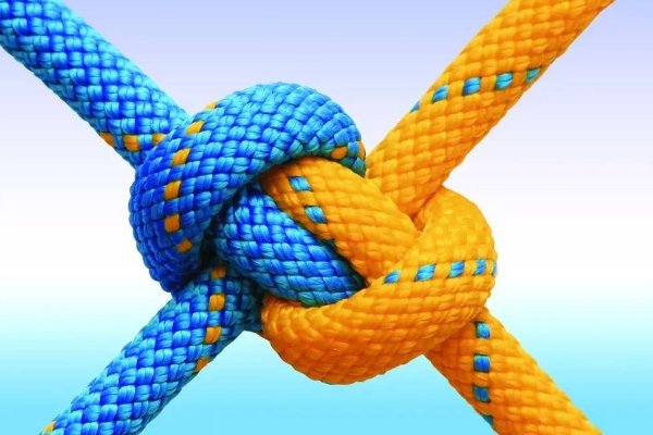 与粽谐音的成语