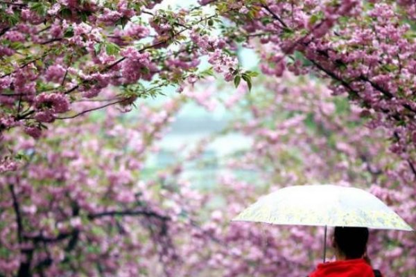 落英缤纷的造句