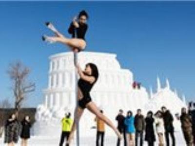 贺哲男的人物档案