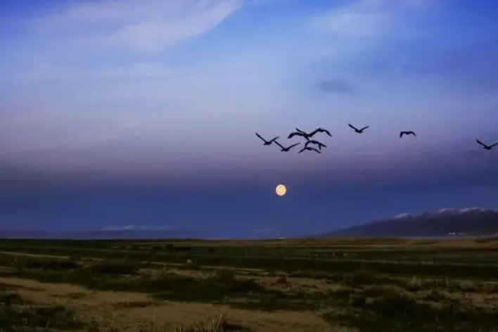 解衣欲睡,月色入户,欣然起行的翻译