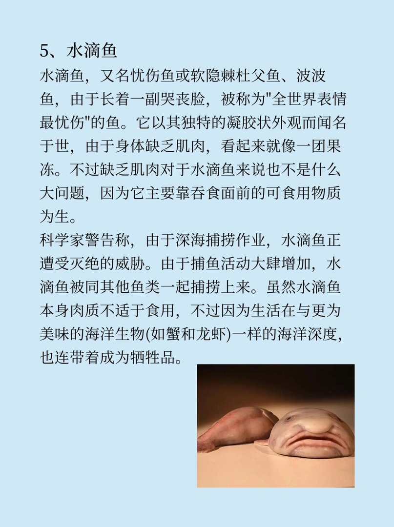 有什么稀奇古怪的东西