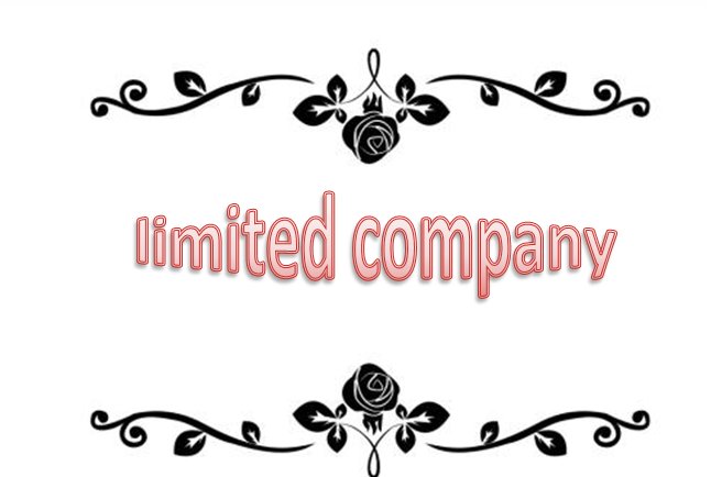 “股份有限公司”用英语怎么说