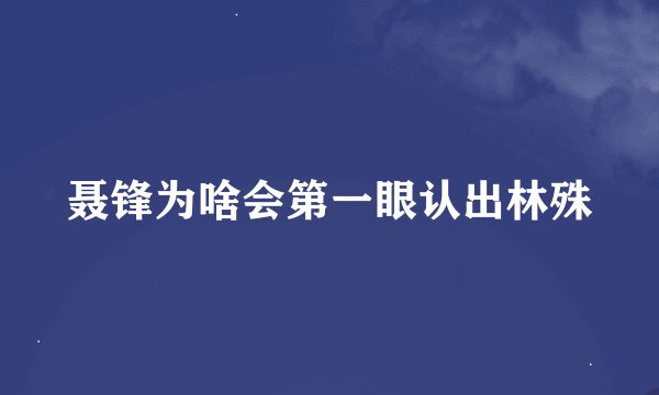 聂锋为啥会第一眼认出林殊