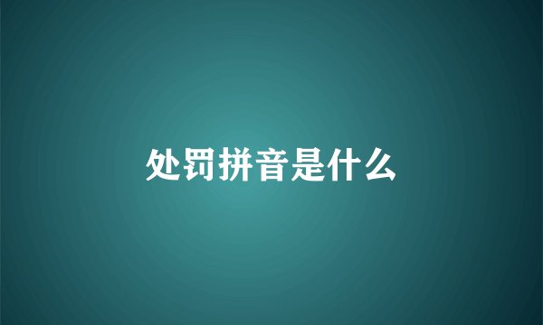 处罚拼音是什么