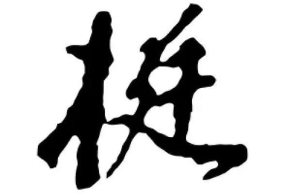 挺的笔顺笔画顺序