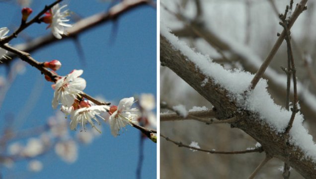 为什么春天比冬天冷？