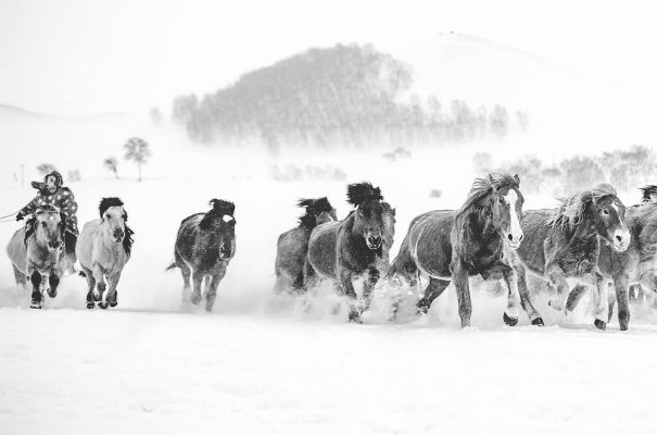 夜阑卧听风吹雨，铁马冰河入梦来.是什么意思?