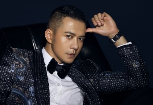 外交风云的何子枫扮演者