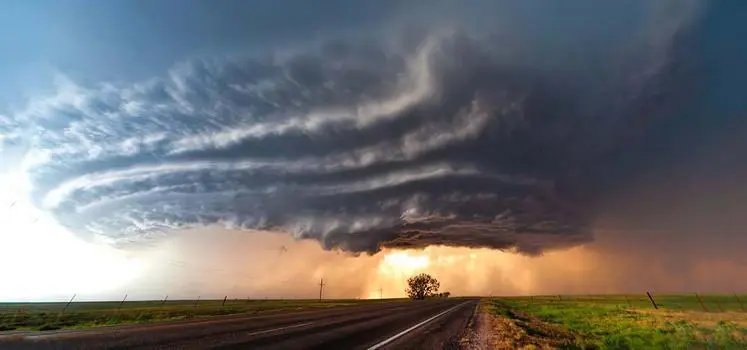 万壑树参天下一句