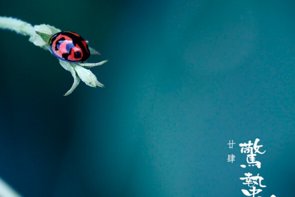 惊蛰寓意是什么意思