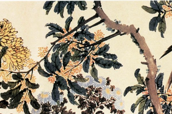 海派是什么意思?