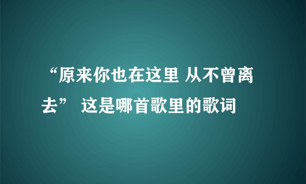 “原来你也在这里 从不曾离去” 这是哪首歌里的歌词