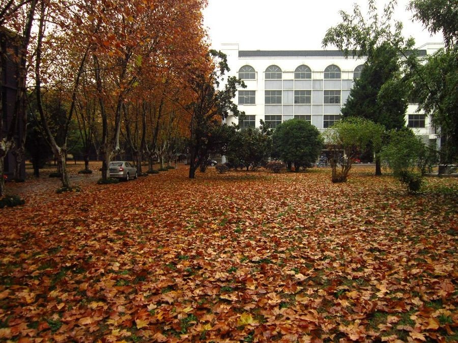 扬州大学有几个校区？