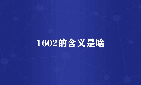 1602的含义是啥