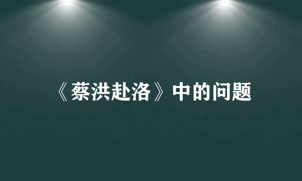 《蔡洪赴洛》中的问题