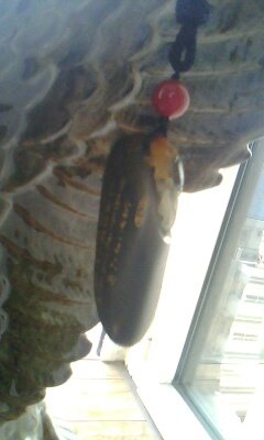 弄玉风云的人物简介