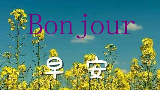 法语早晨好怎么翻译