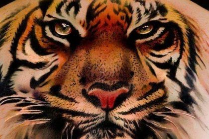 十大纹身禁忌排名