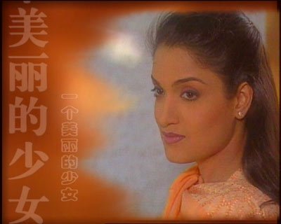 阴谋与婚礼的介绍