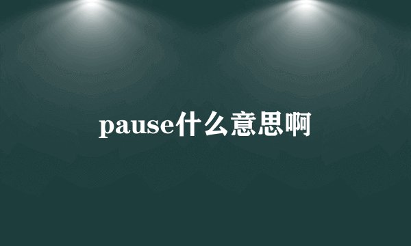 pause什么意思啊