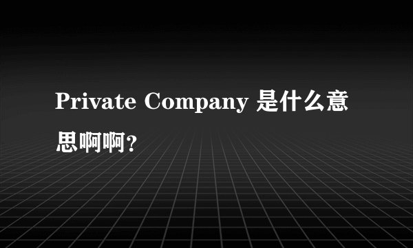Private Company 是什么意思啊啊？