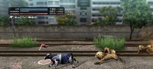 东京丛林的介绍