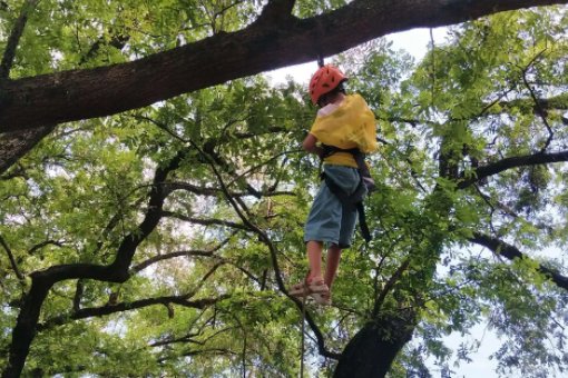 一曰上树能千回的上一句