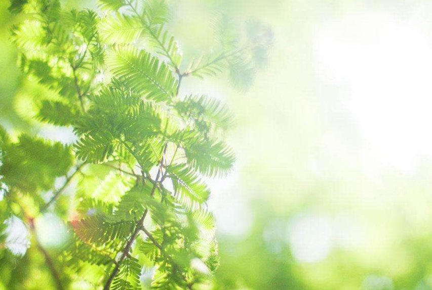 夏天的太阳像火球一样,我们热得像什么