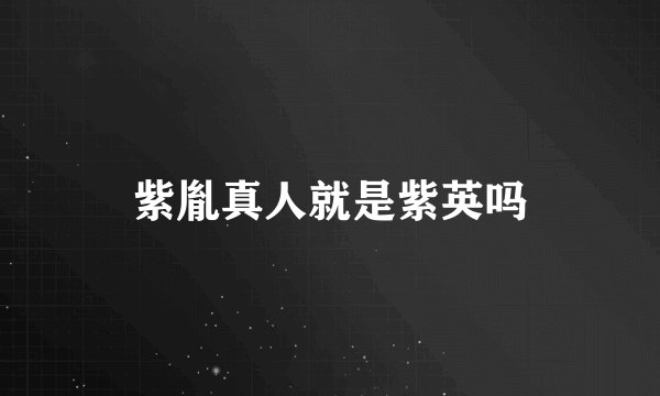 紫胤真人就是紫英吗